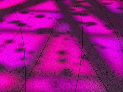 pink  california science center